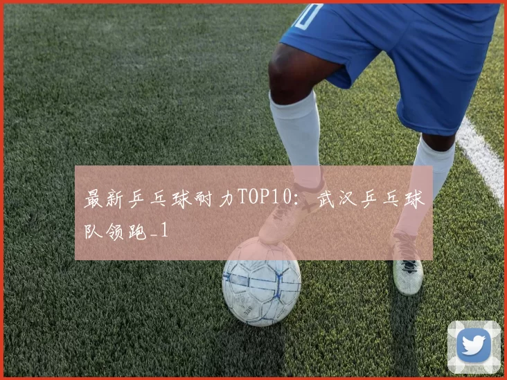 最新乒乓球耐力TOP10：武汉乒乓球队领跑_1