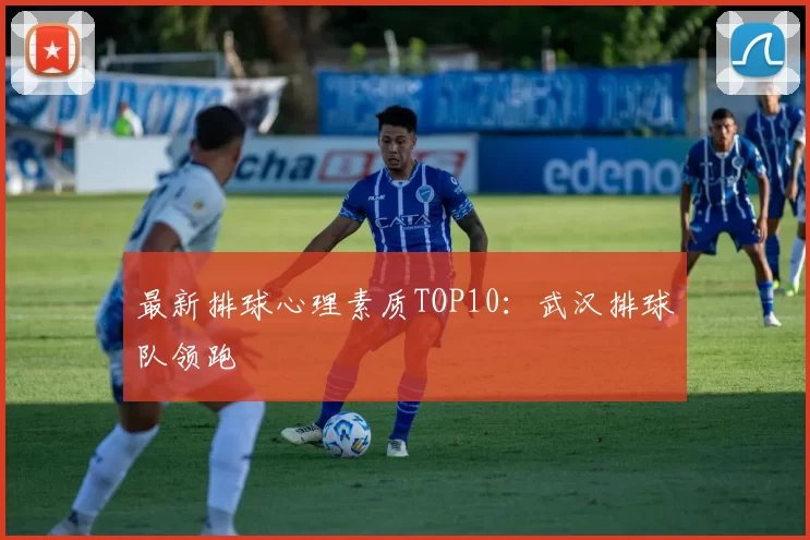 最新排球心理素质TOP10：武汉排球队领跑